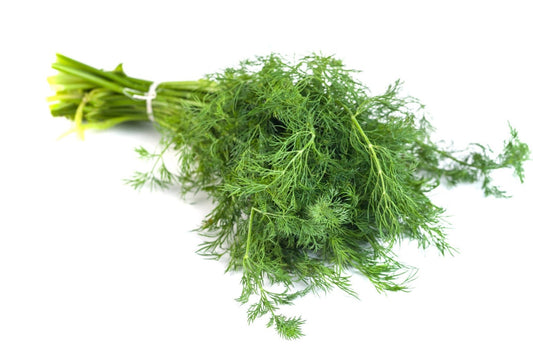 Dill - 100g - Bar Fruit Delivery