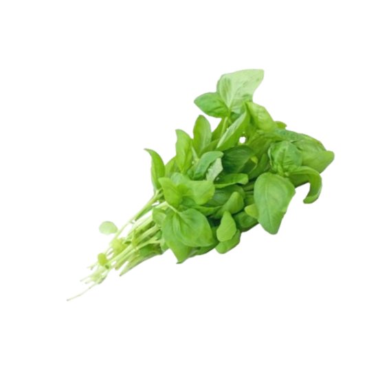 Basil - 100g - Bar Fruit Delivery