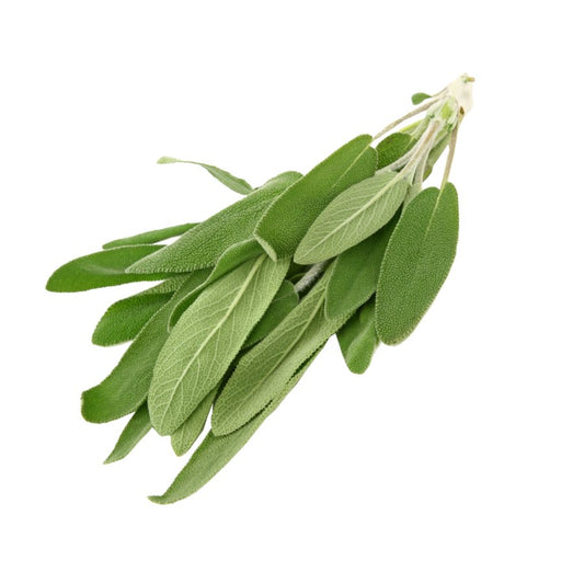 Sage - 100g - Bar Fruit Delivery