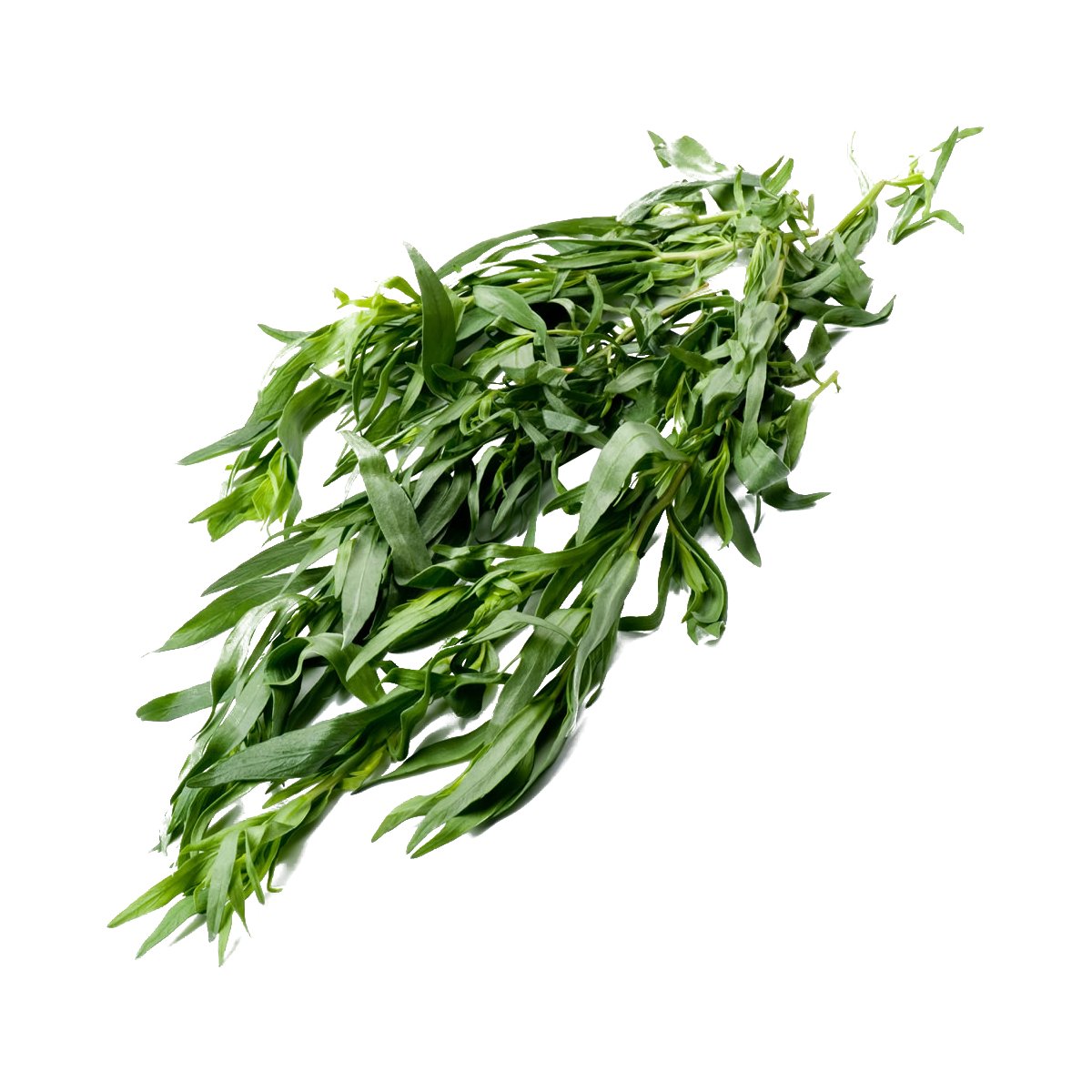 Tarragon - 100g - Bar Fruit Delivery