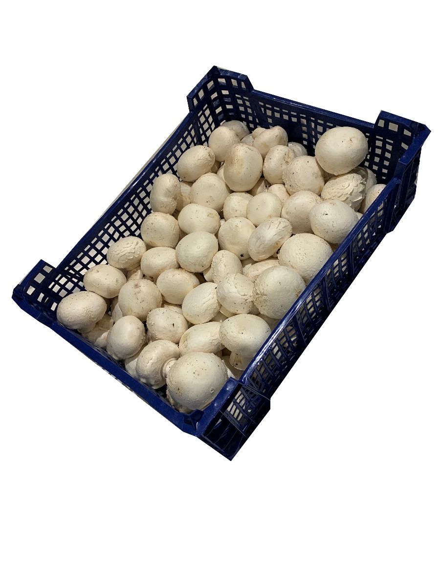 Button Mushrooms Box - 3kg Per Box - Bar Fruit Delivery