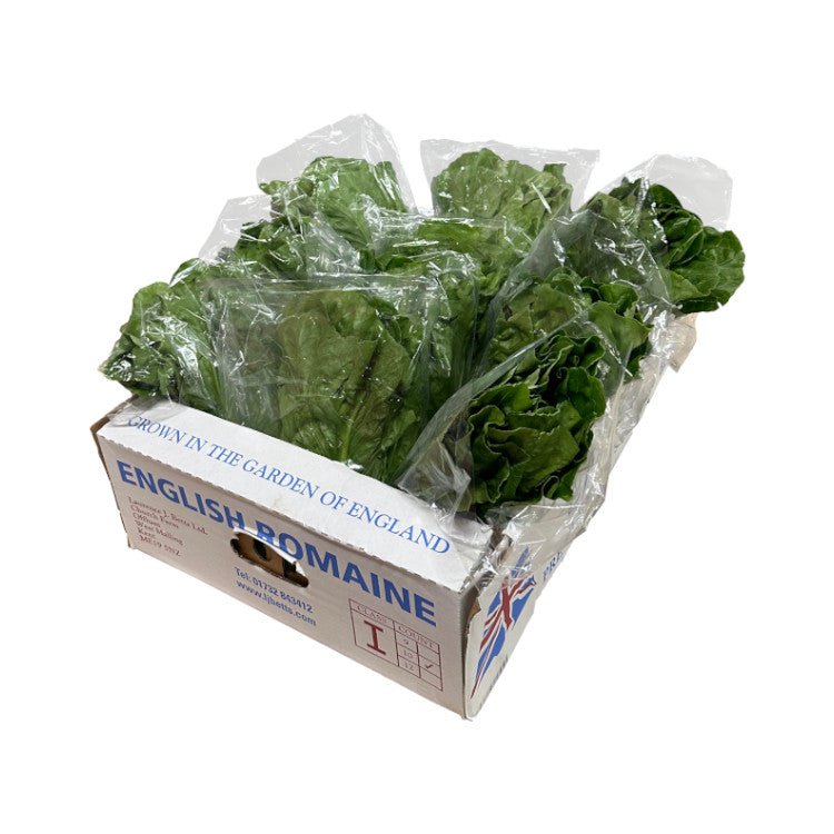 Cos/Romaine Lettuce Box - 10 Per Box - Bar Fruit Delivery