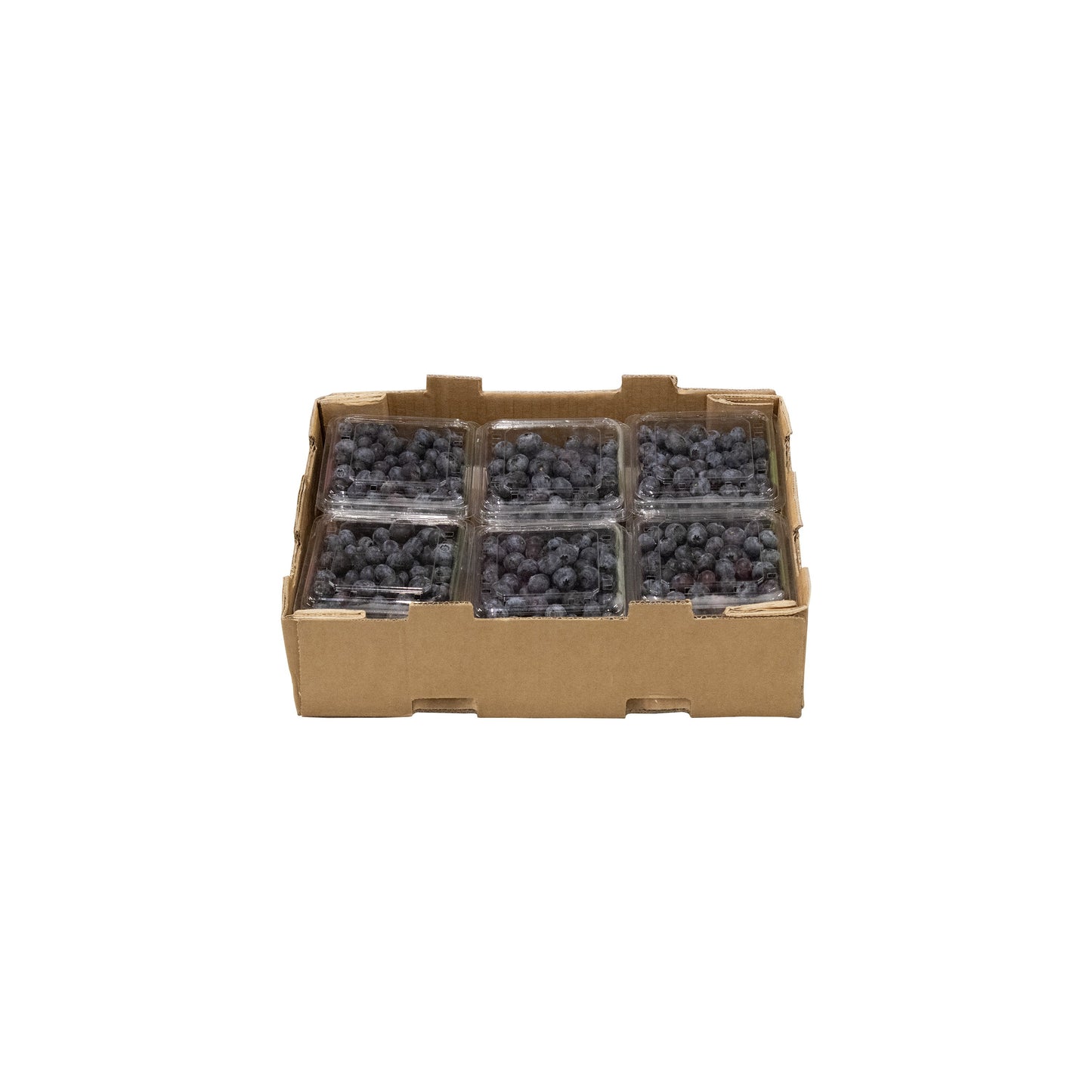 Fresh Blueberry Box - 12 x 125g - Bar Fruit Delivery