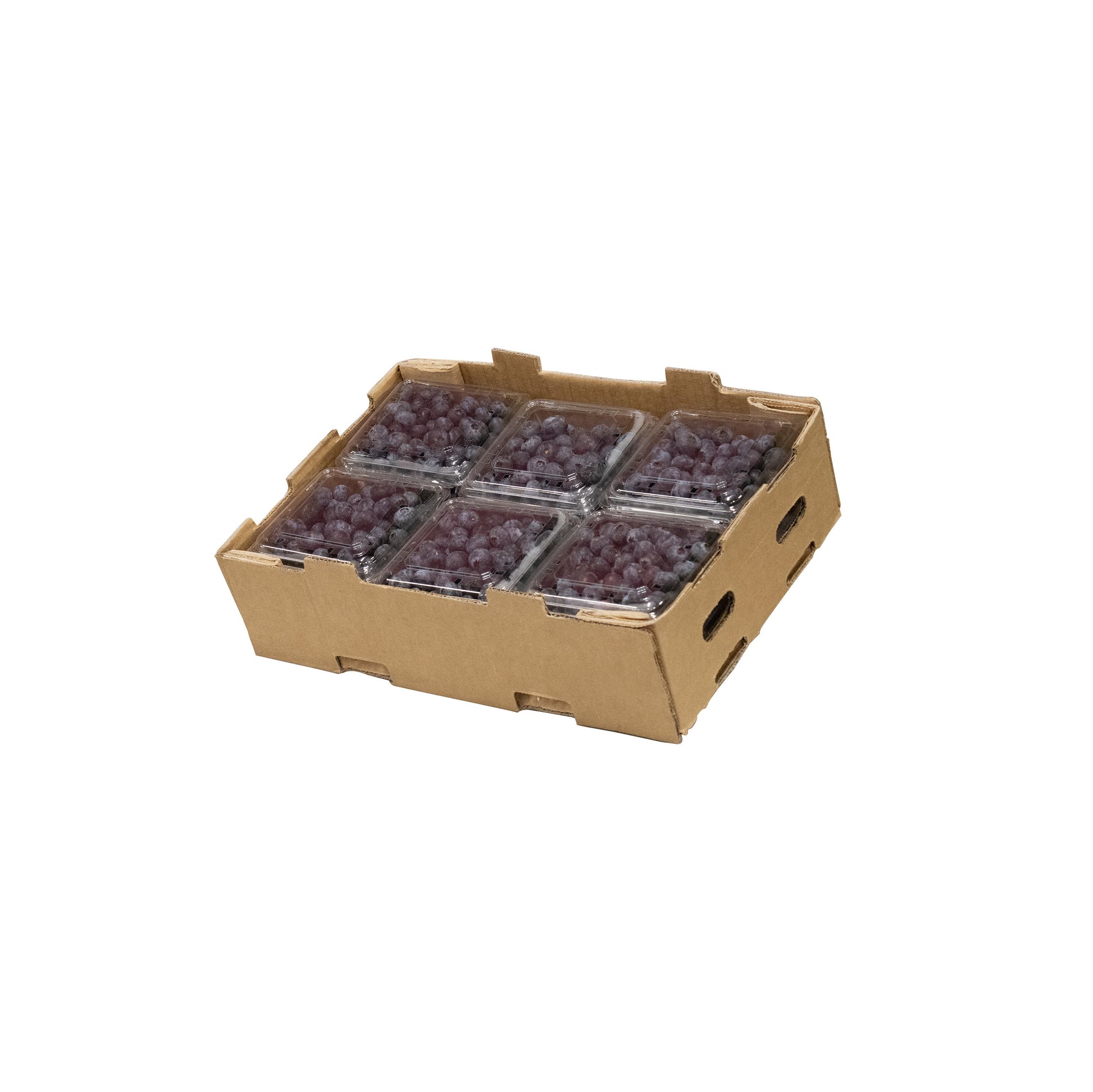 Fresh Blueberry Box - 12 x 125g - Bar Fruit Delivery