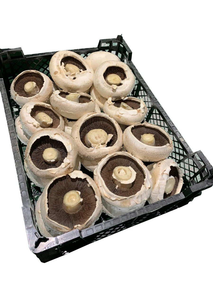 Large Flat Mushroom Box - 1.8kg Per Box - Bar Fruit Delivery