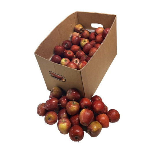Juicing Apples Box - 18kg Per Box - Bar Fruit Delivery