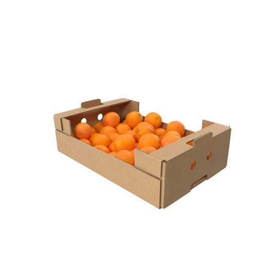 Juicing Orange Box - 15kg - Bar Fruit Delivery