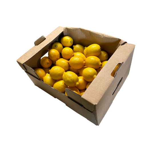 Lemon Box - 50 Per Box - Bar Fruit Delivery