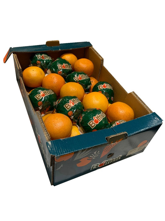 Pink Grapefruit Box - 40 per box - Bar Fruit Delivery