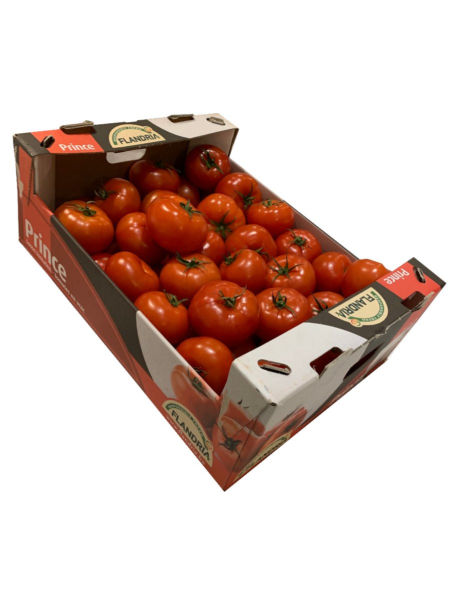 Fresh Tomato Box 6kg: Wholesale Suppliers & Bulk Prices
